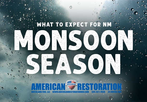 What to Expect for NM Monsoon Season