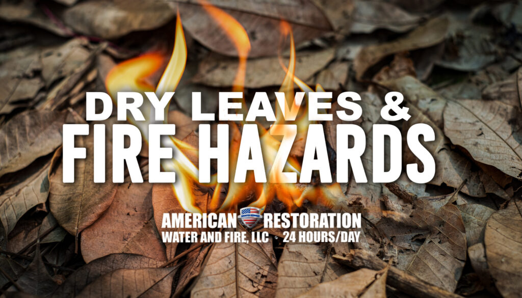 Dry Leaves & Fire Hazards