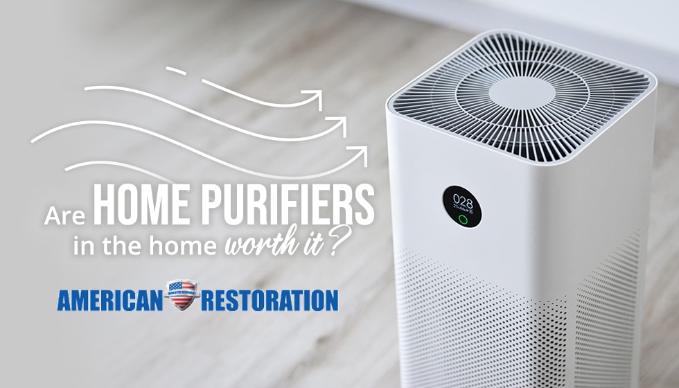 Air Purifiers in Home: Are They Worth It?