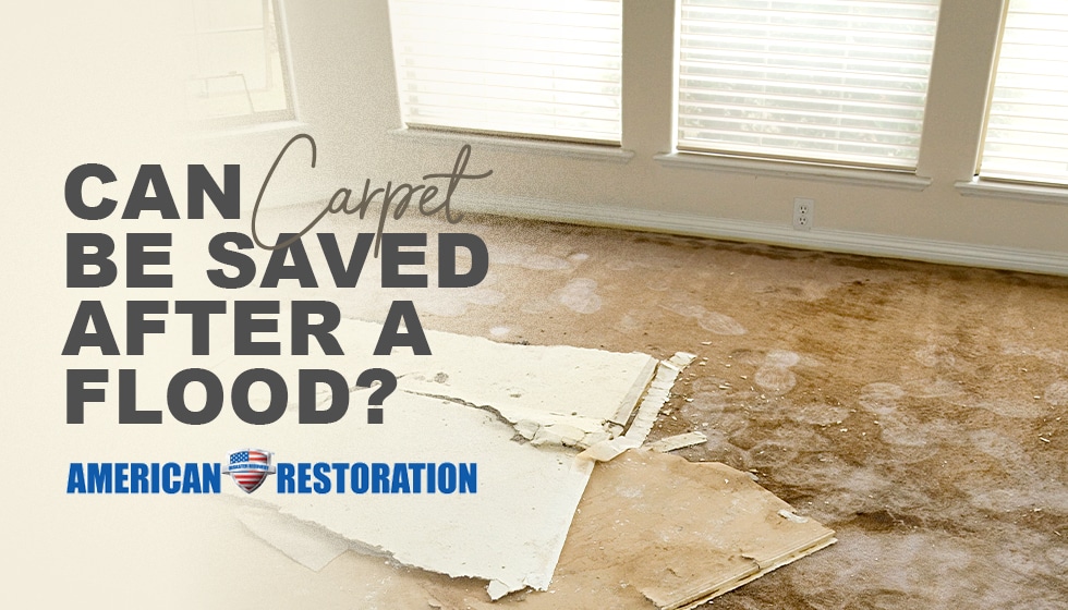 Is Carpet Salvageable After a Home Flood?