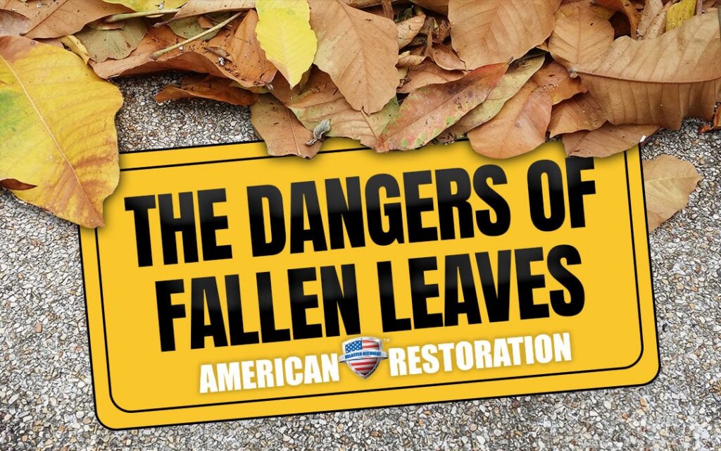 The Dangers of Fallen Leaves