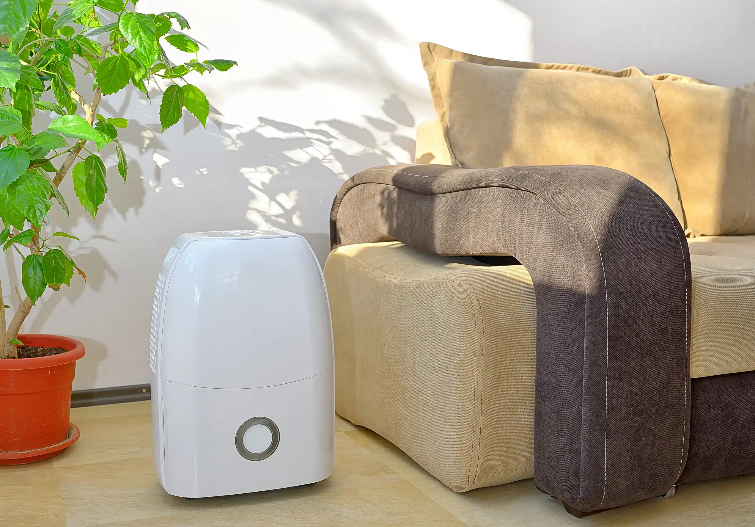 A dehumidifier next to a couch.