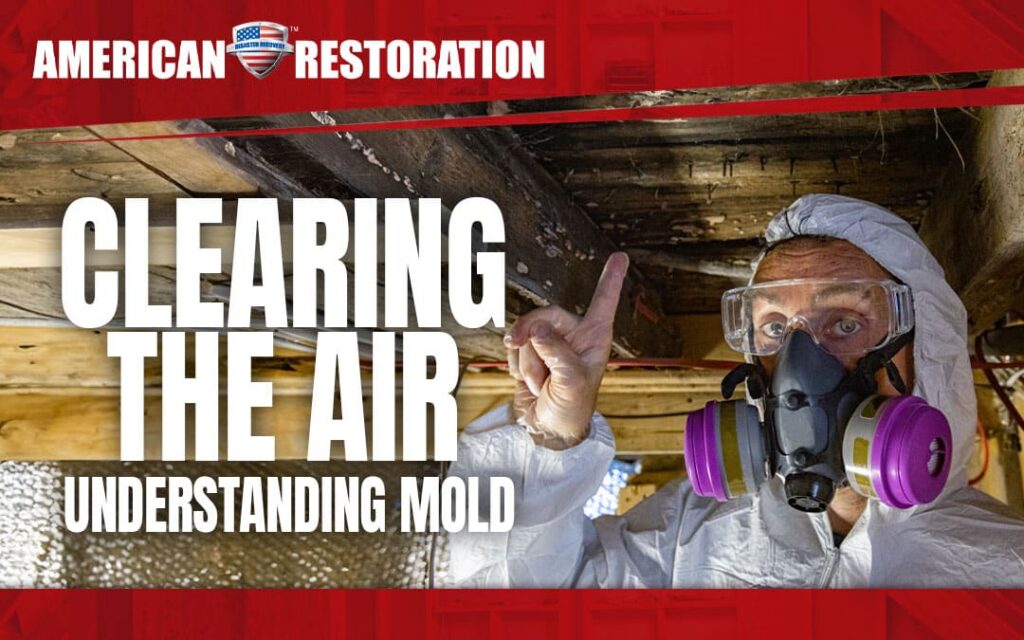 Clearing The Air: Understanding Mold